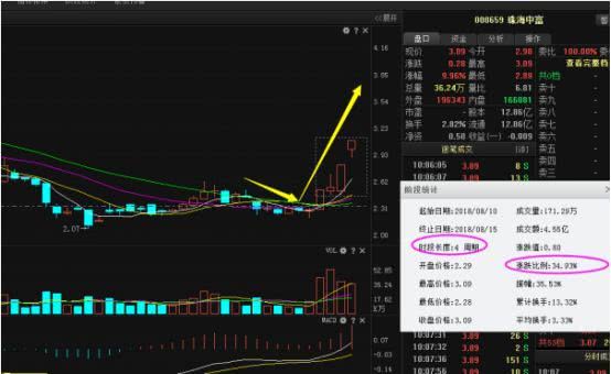 任子行最新消息全面解析