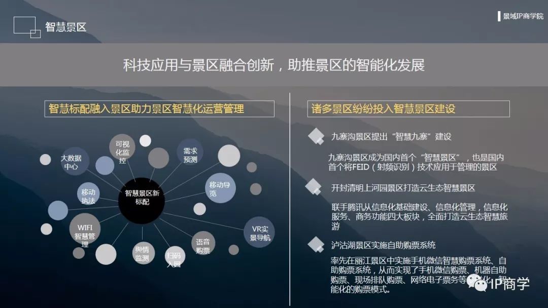 水貂价格最新动态，市场走势、影响因素与未来趋势分析